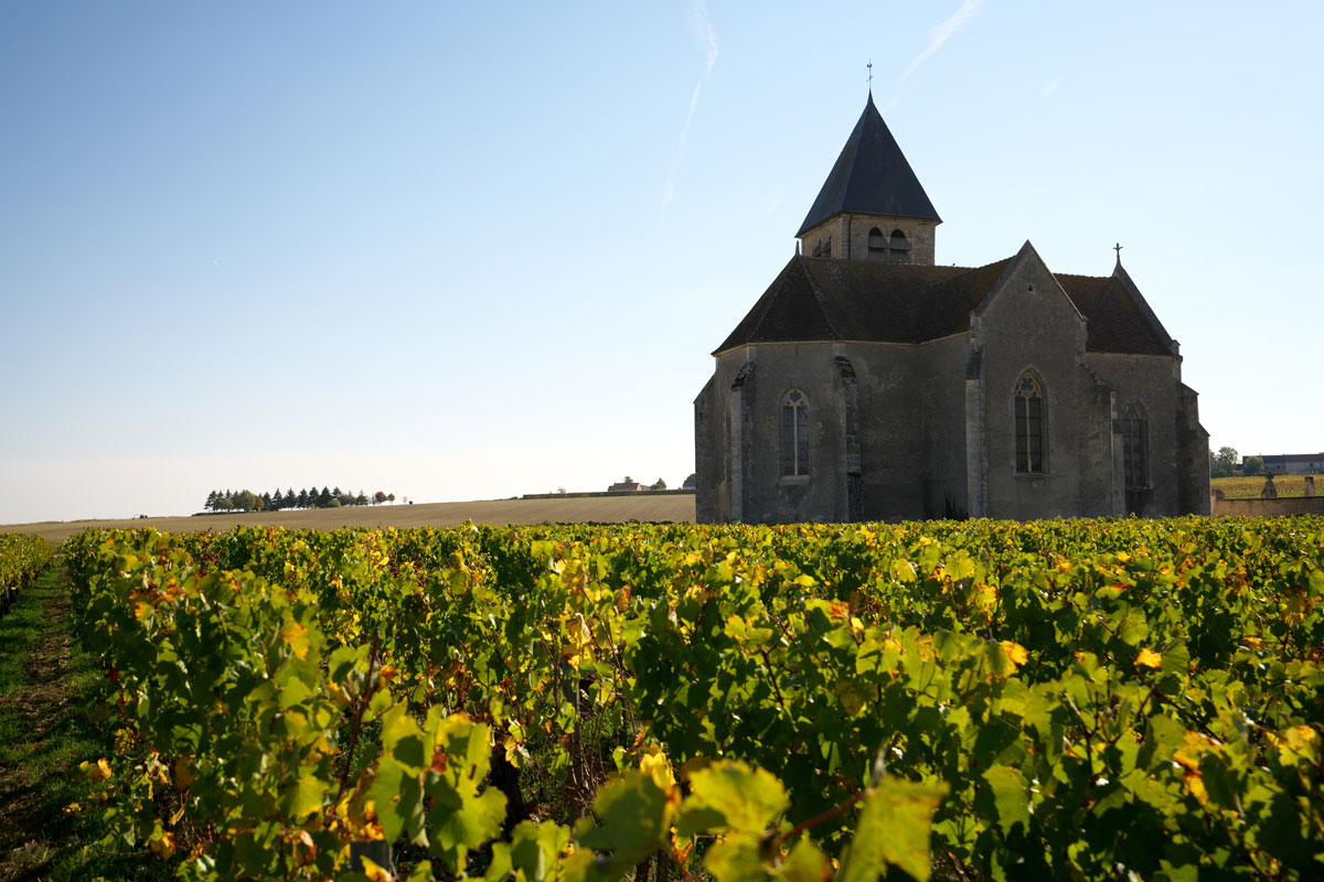 Chablis wine region on our Loire river cruises