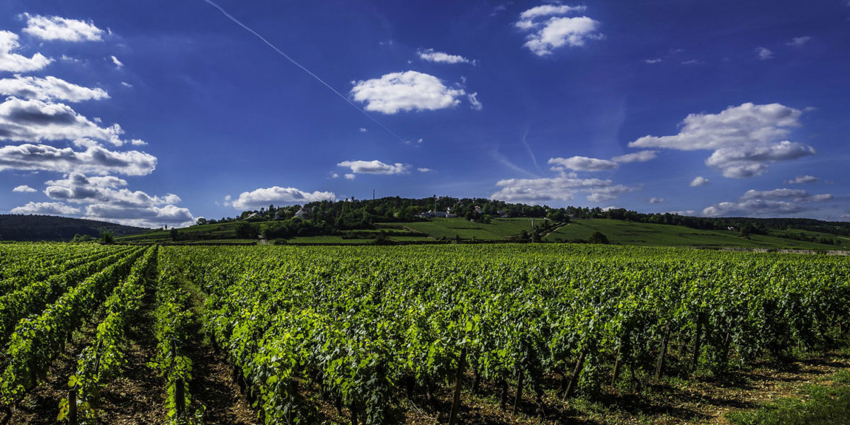 The unspoilt region of Burgundy