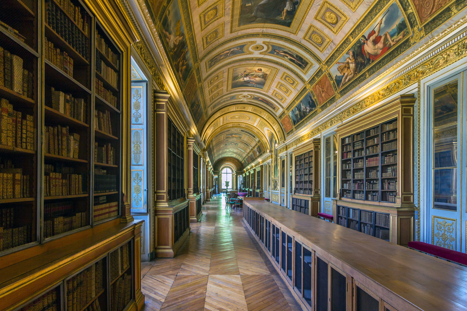 Chateau-Fontainbleau library interior