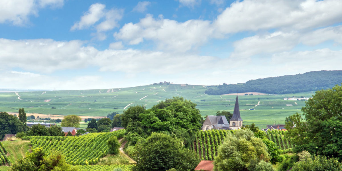 Highlights of the Champagne region