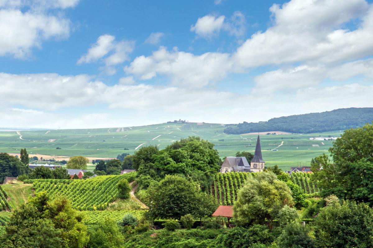 Highlights of the Champagne region