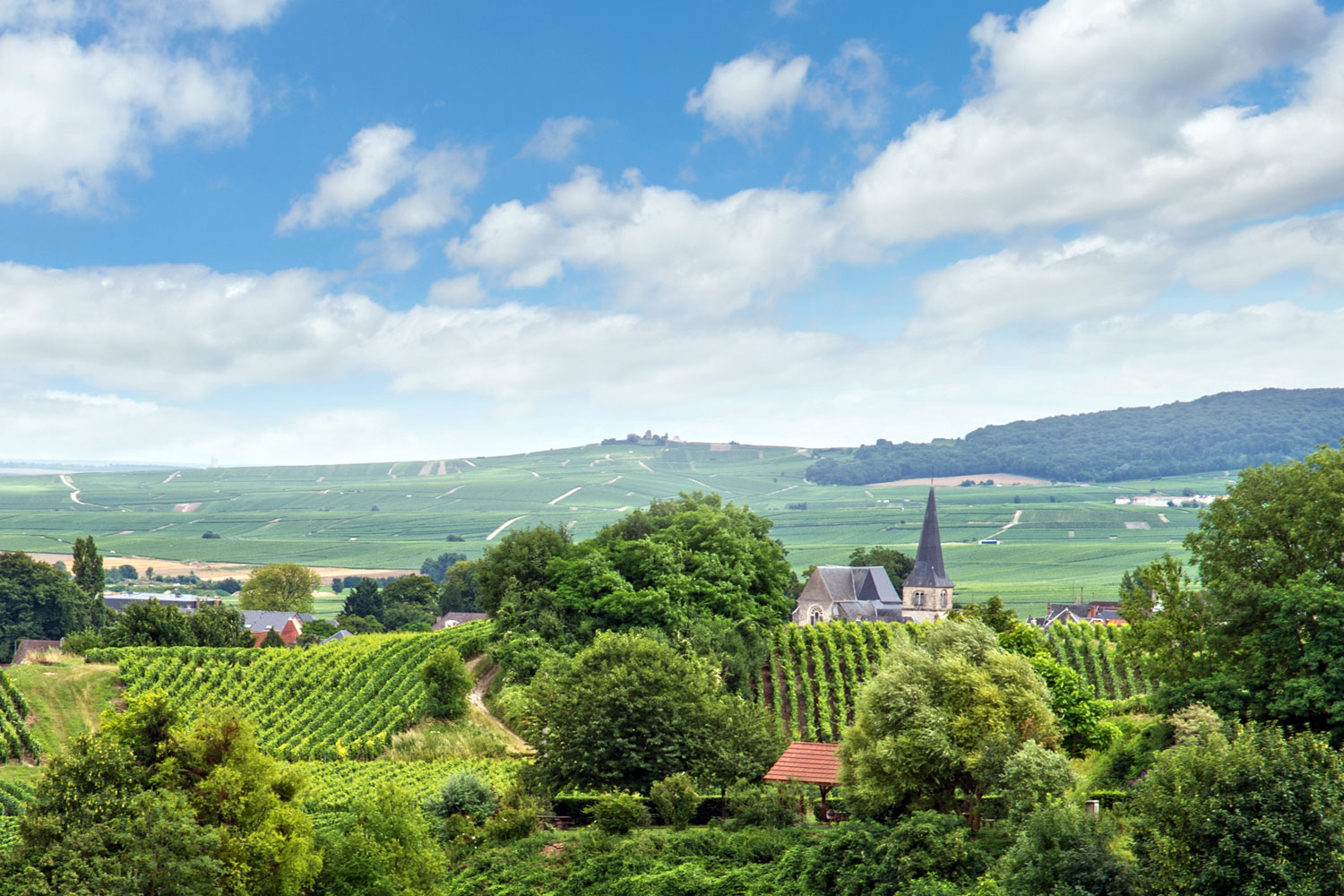 Champagne clearance france region