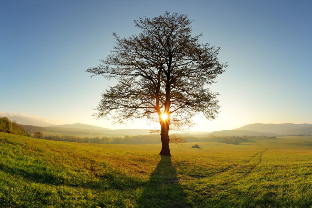 Spring-is-on-its-way-in-France