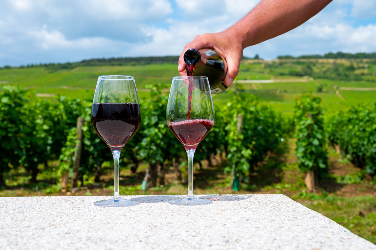 burgundy-vineyard-wine-tasting