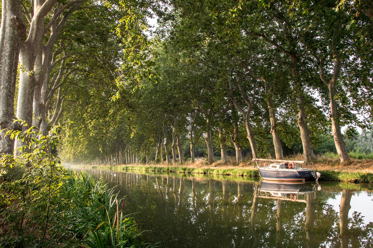 misty-morning-on-the-canal