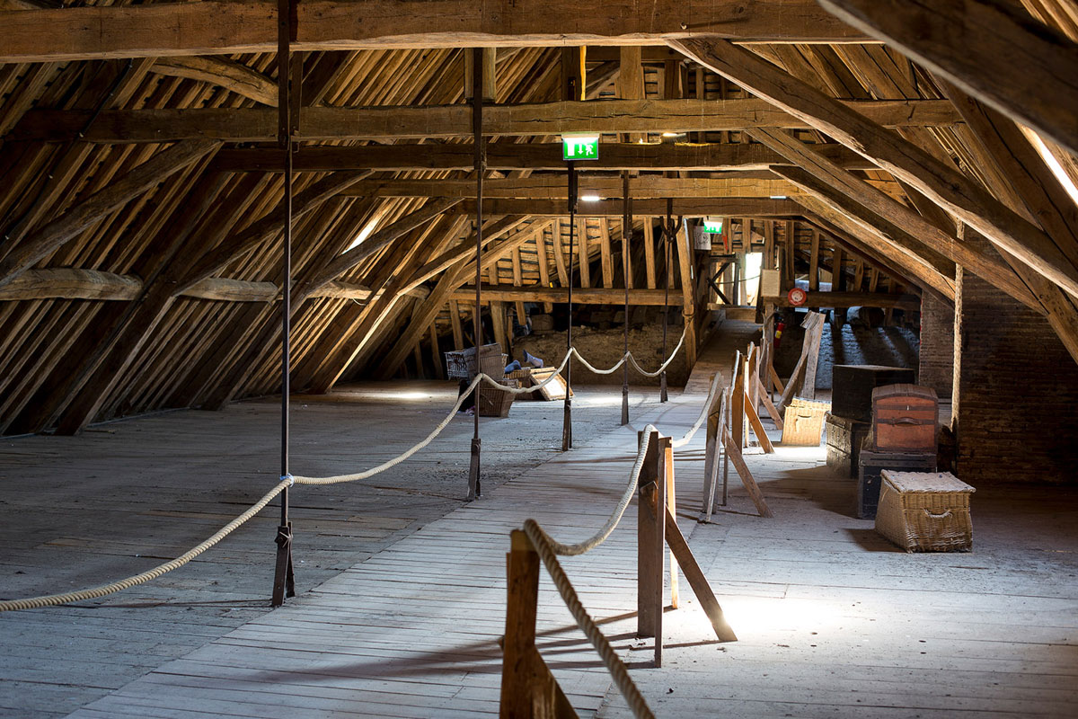 Château-de-Saint-Fargeau-roof