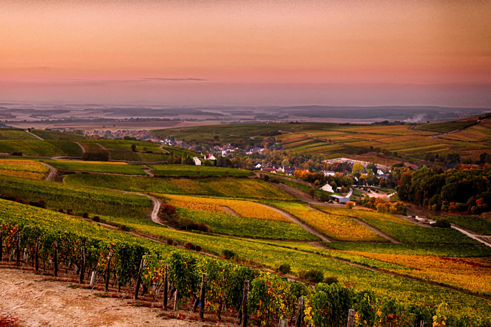 vineyards-of-Sancerre-in-autumn