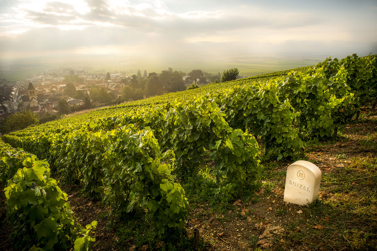 Boizel-Champagne-surroundings