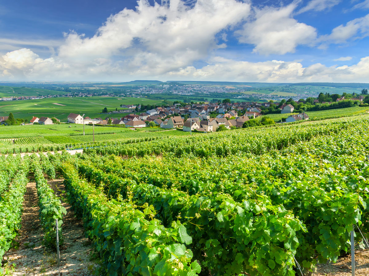 Champagne-region-of-France
