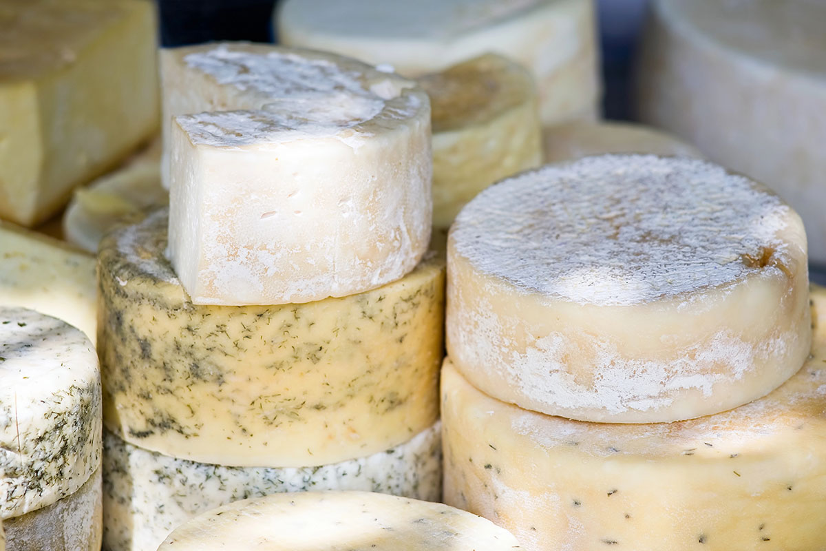 goats-cheese