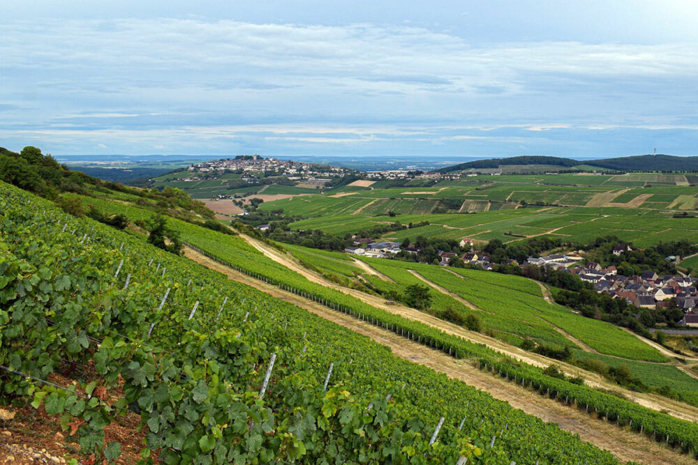 Sancerre-vineyards-v2