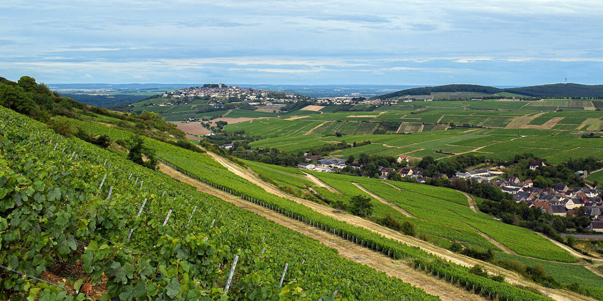 In celebration of Sancerre