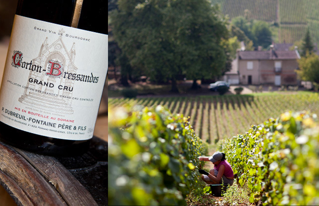 Dubreuil-Fontaine – Corton Bressandes Grand Cru, Burgundy