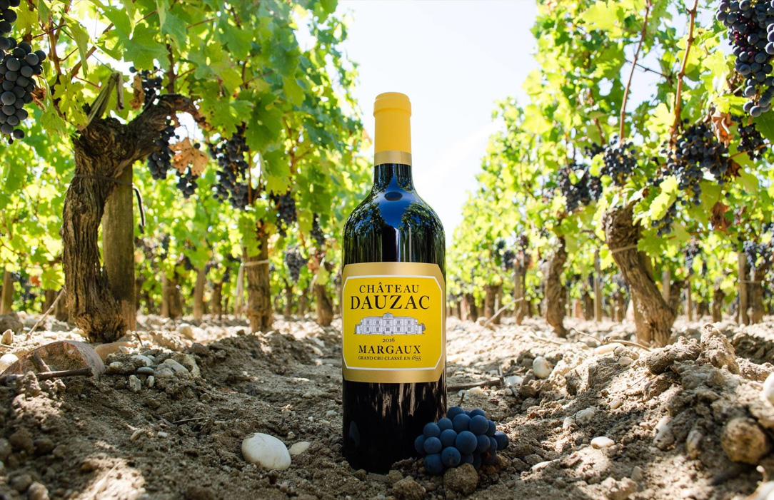 Château Dauzac – Margaux, Bordeaux