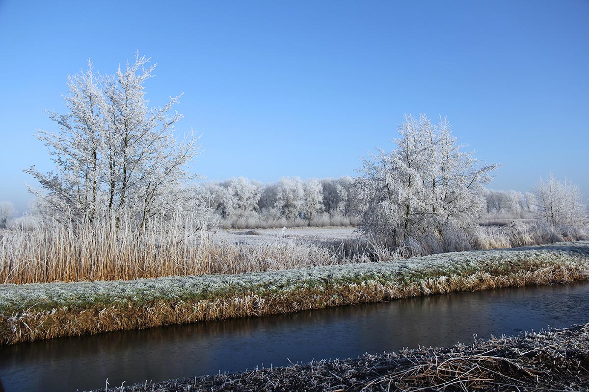 Winter Inspirations on the Canals Introduction